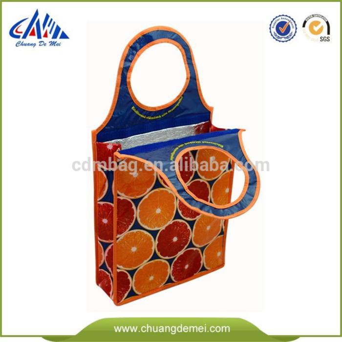 Cooler Bag \ Lunch Bag